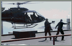 Chicago Stunts